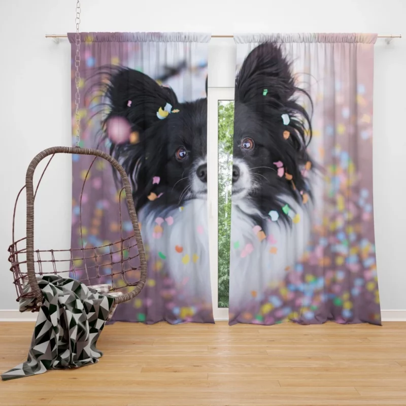 Chihuahua Festive Charm Confetti Play Curtain