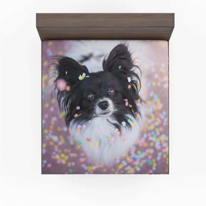 Chihuahua Festive Charm Confetti Play Fitted Sheet 1