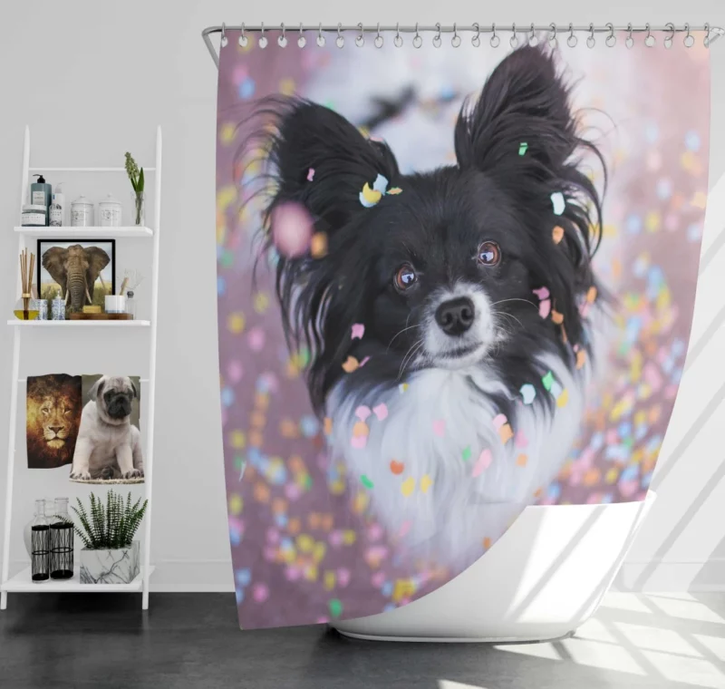 Chihuahua Festive Charm Confetti Play Shower Curtain