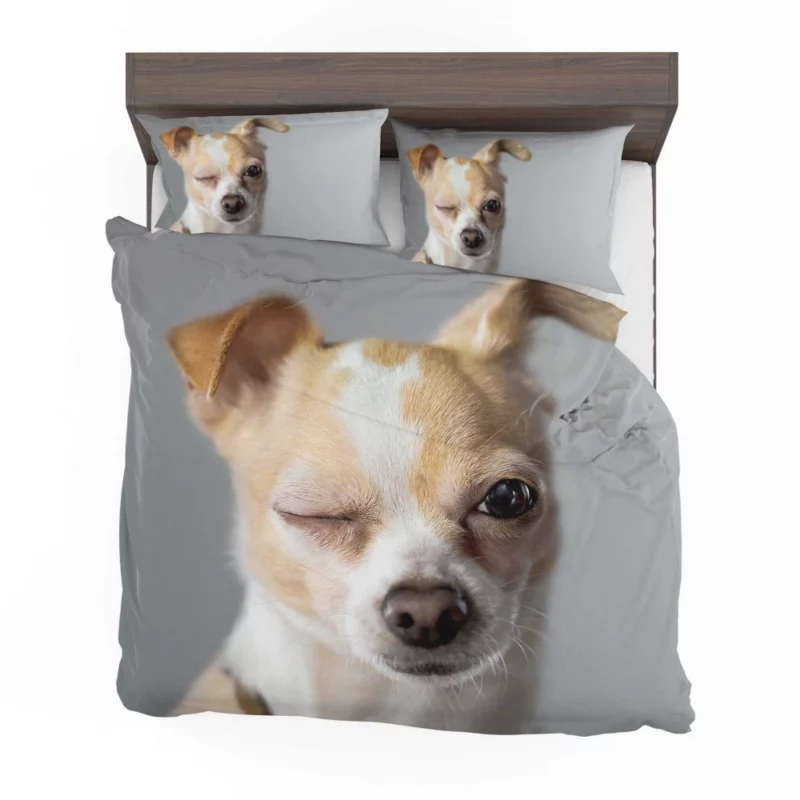 Chihuahua Petite Charisma Bedding Set 1