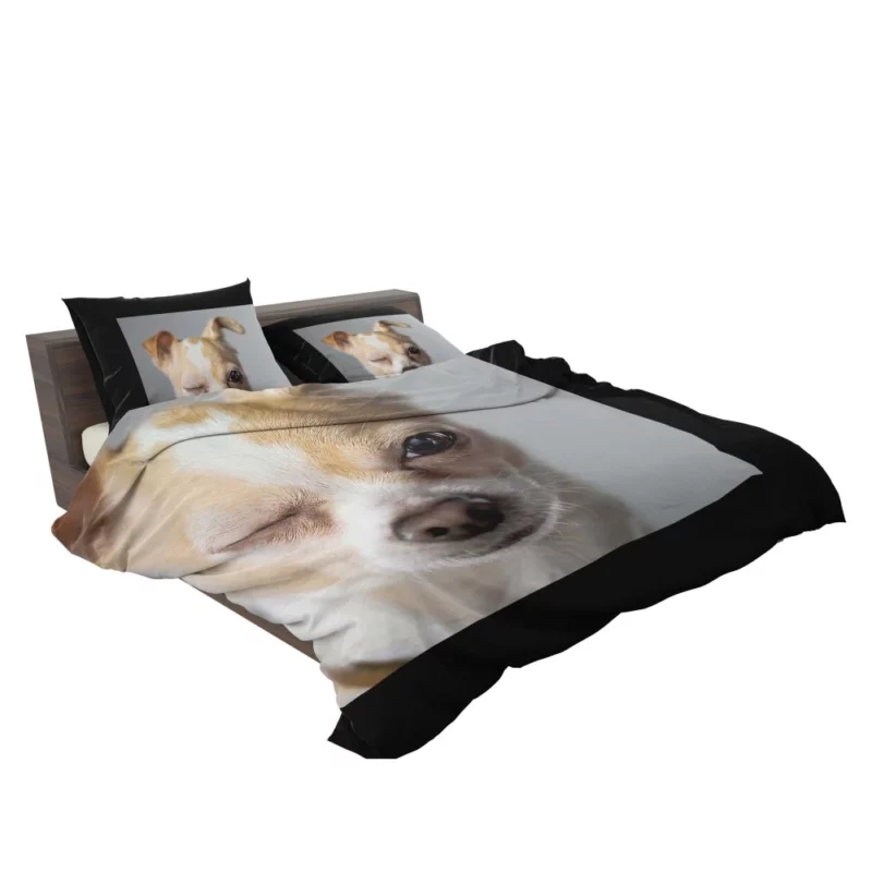 Chihuahua Petite Charisma Bedding Set 2