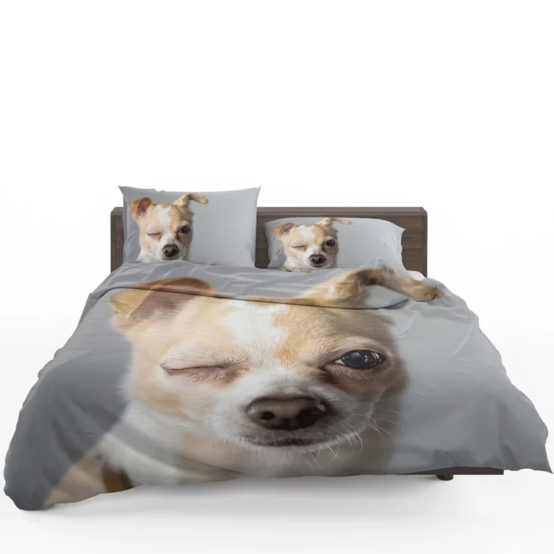 Chihuahua Petite Charisma Bedding Set