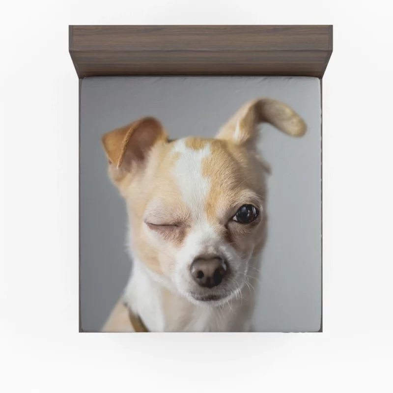 Chihuahua Petite Charisma Fitted Sheet 1