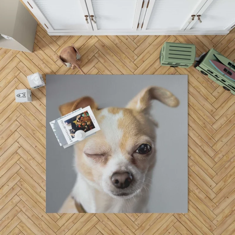 Chihuahua Petite Charisma Rug