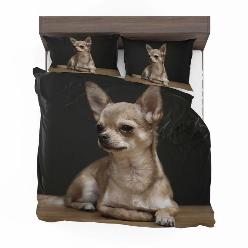 Chihuahua Playful Charm Tiny Companion Bedding Set 1