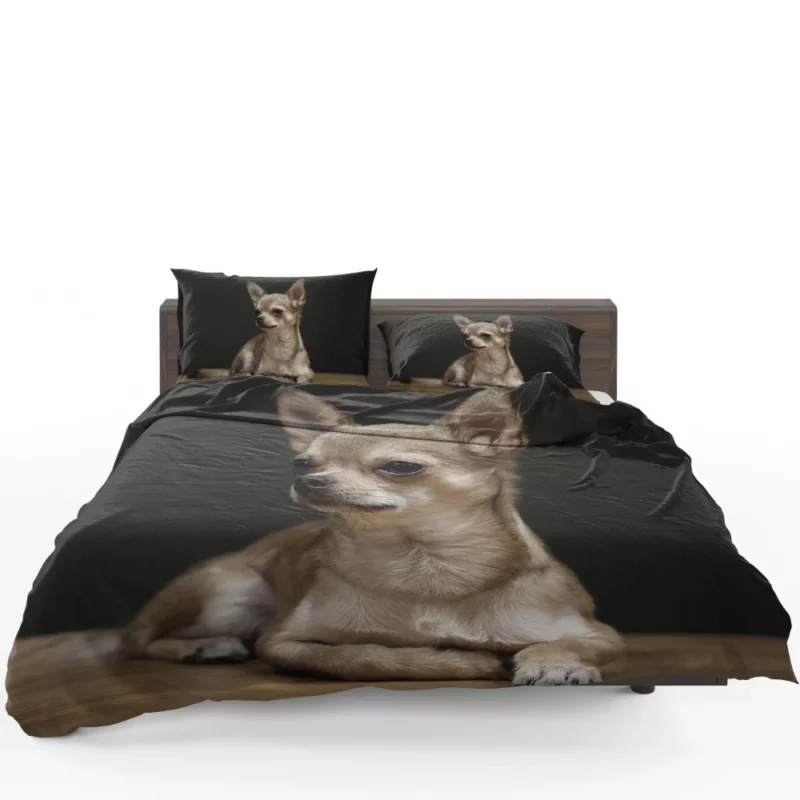 Chihuahua Playful Charm Tiny Companion Bedding Set