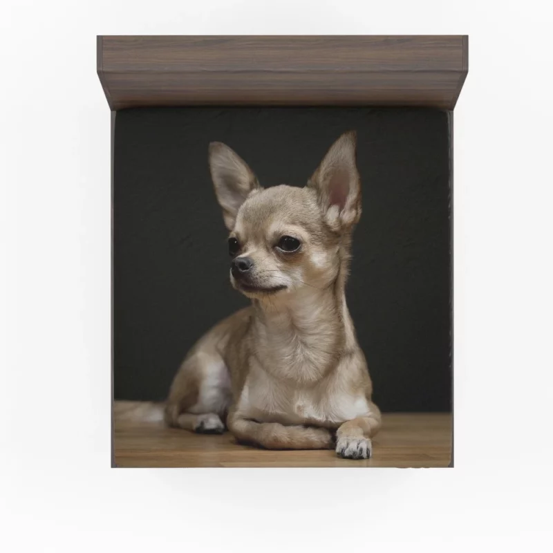 Chihuahua Playful Charm Tiny Companion Fitted Sheet 1