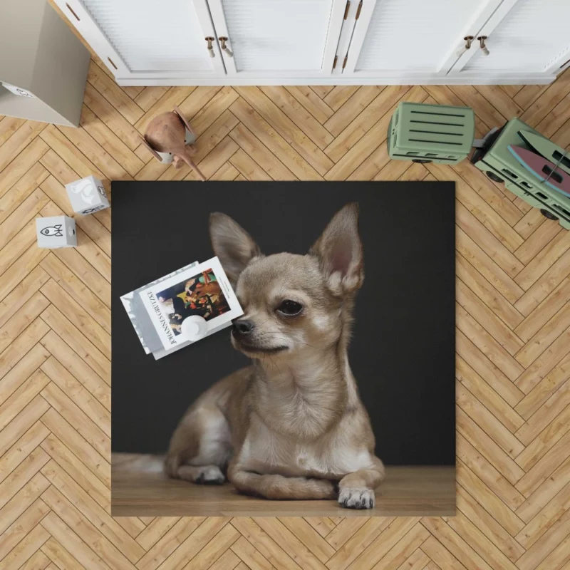 Chihuahua Playful Charm Tiny Companion Rug