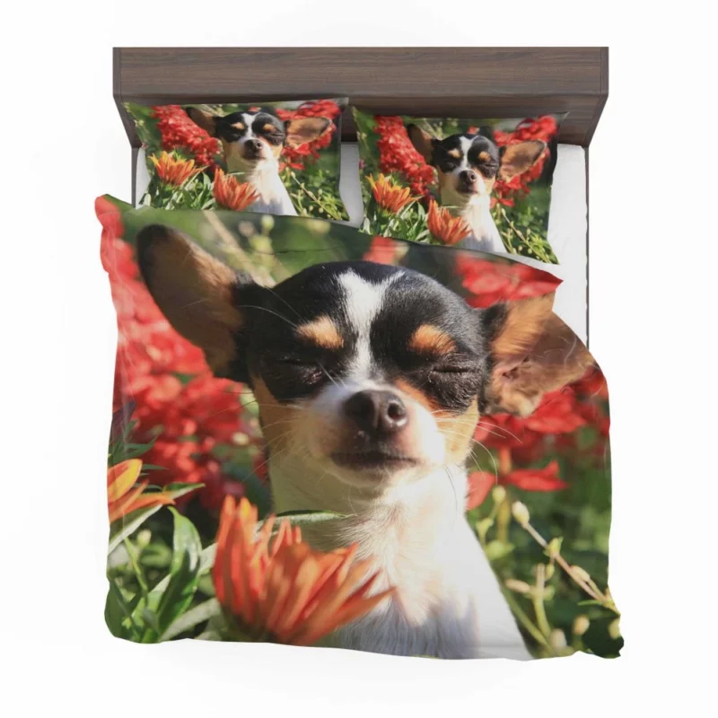 Chihuahua Playful Innocence Floral Companion Bedding Set 1