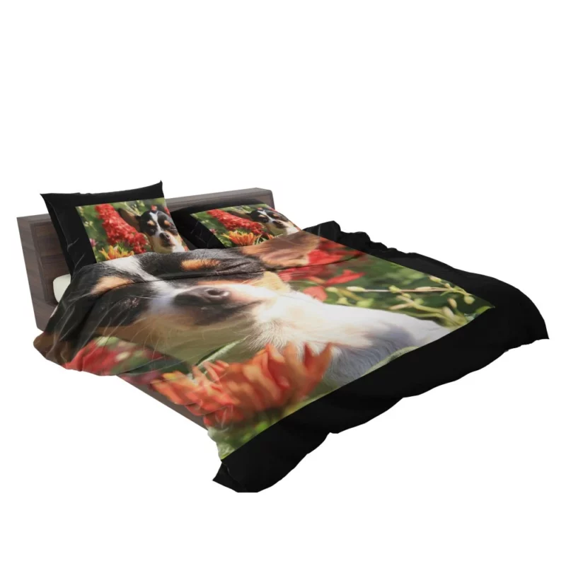 Chihuahua Playful Innocence Floral Companion Bedding Set 2