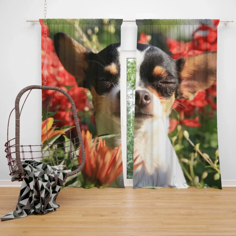 Chihuahua Playful Innocence Floral Companion Curtain