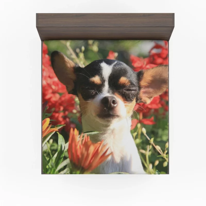 Chihuahua Playful Innocence Floral Companion Fitted Sheet 1