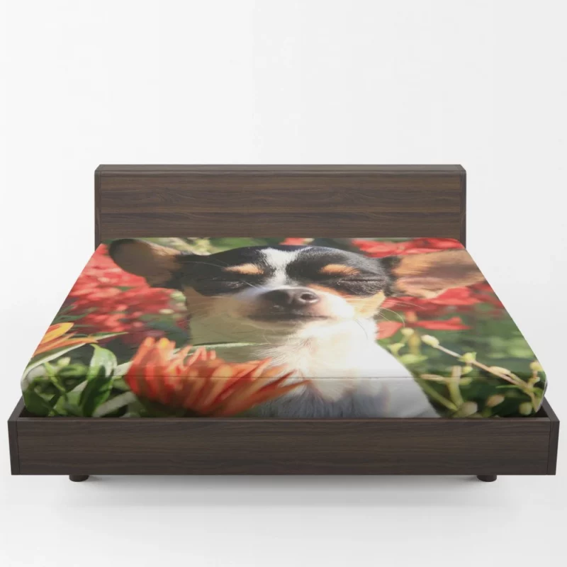 Chihuahua Playful Innocence Floral Companion Fitted Sheet