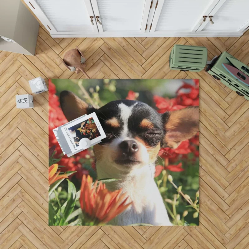 Chihuahua Playful Innocence Floral Companion Rug