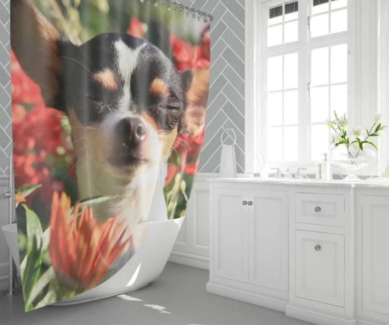 Chihuahua Playful Innocence Floral Companion Shower Curtain 1