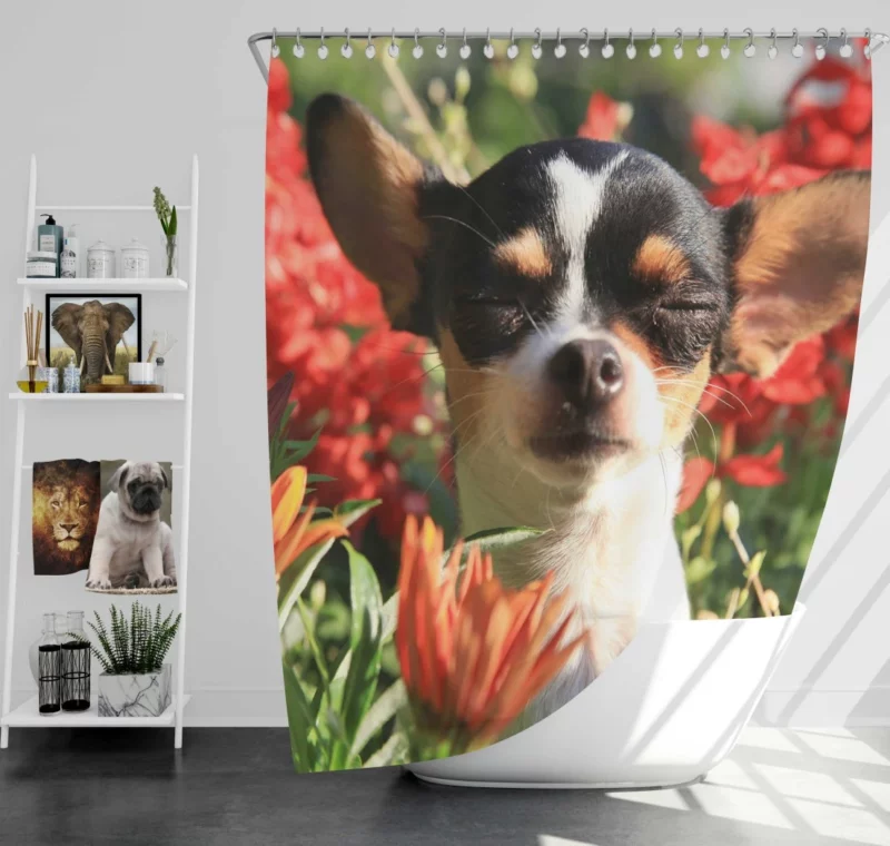 Chihuahua Playful Innocence Floral Companion Shower Curtain