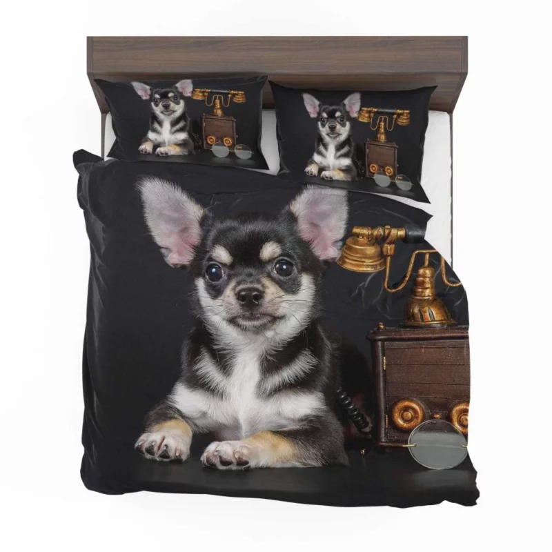 Chihuahua Quirky Charm Petite Playmate Bedding Set 1