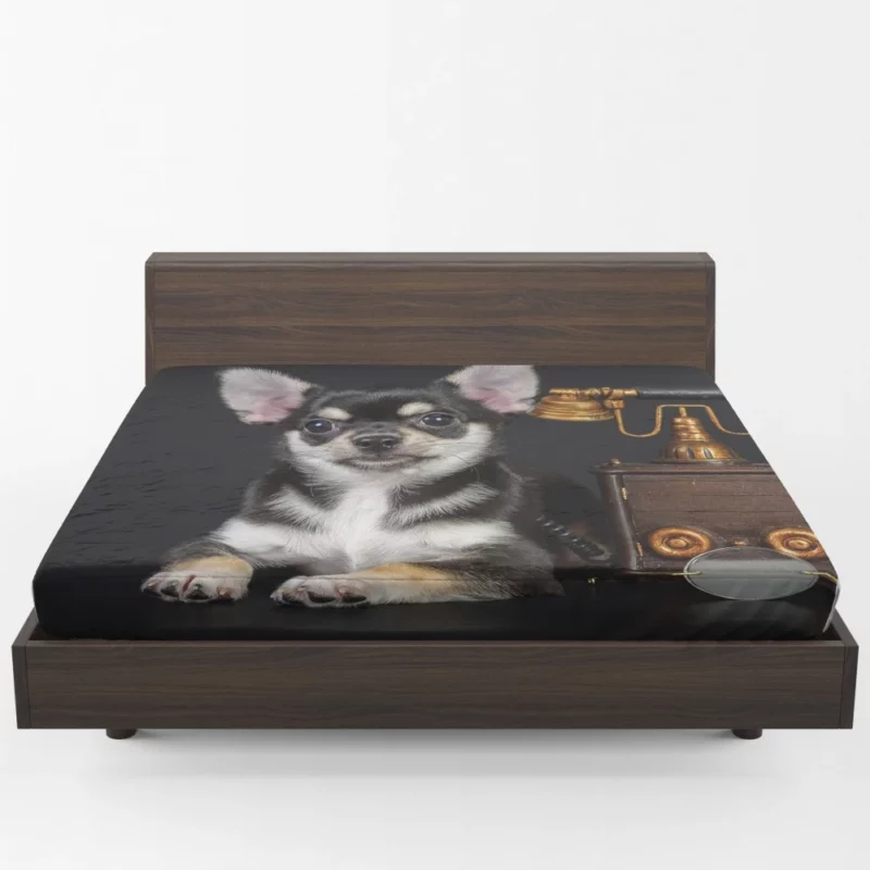 Chihuahua Quirky Charm Petite Playmate Fitted Sheet