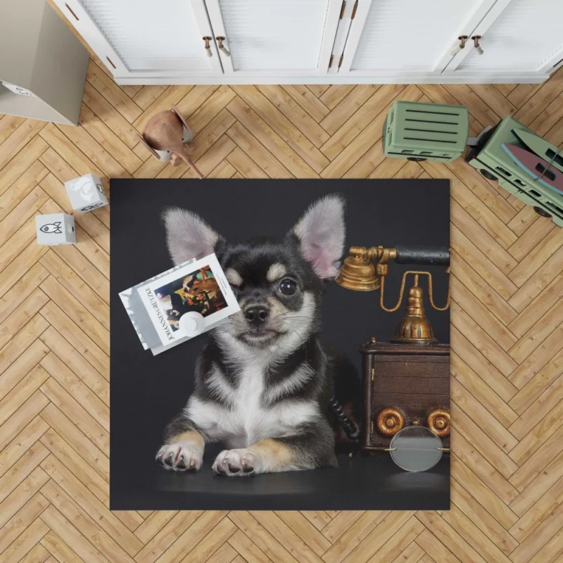 Chihuahua Quirky Charm Petite Playmate Rug