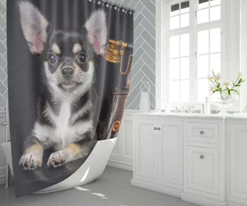 Chihuahua Quirky Charm Petite Playmate Shower Curtain 1