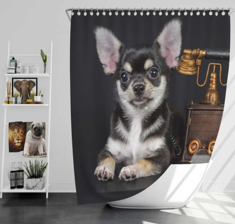 Chihuahua Quirky Charm Petite Playmate Shower Curtain