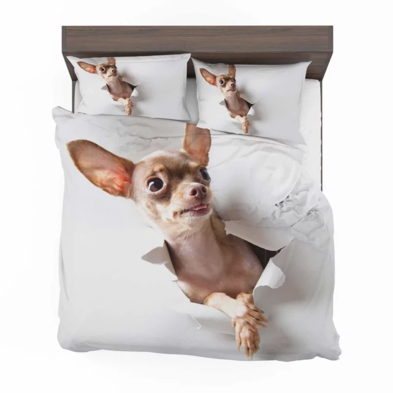 Chihuahua Tiny Grace Delightful Companion Bedding Set 1