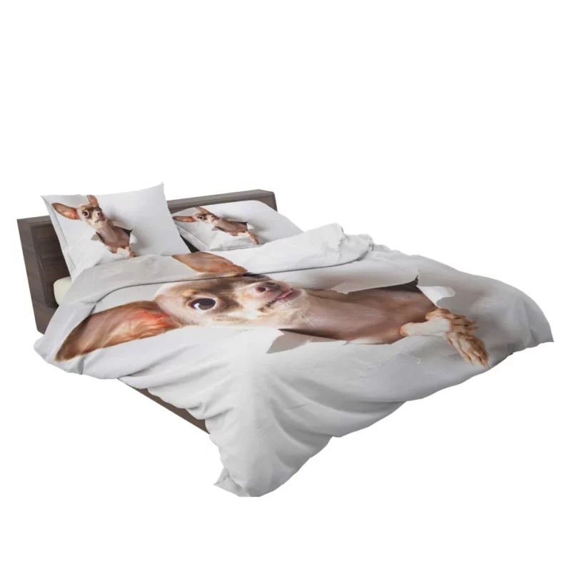 Chihuahua Tiny Grace Delightful Companion Bedding Set 2