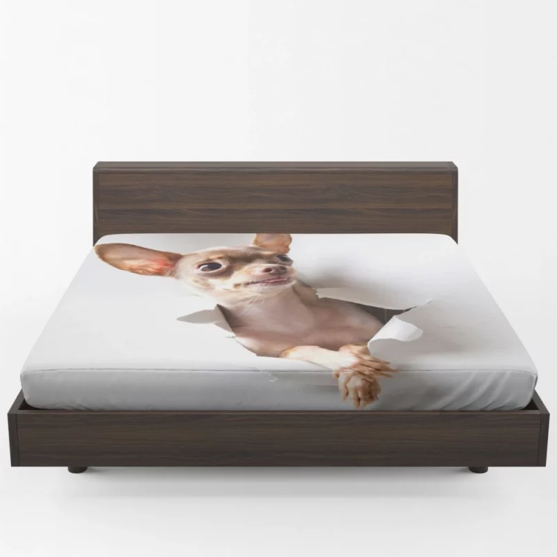 Chihuahua Tiny Grace Delightful Companion Fitted Sheet