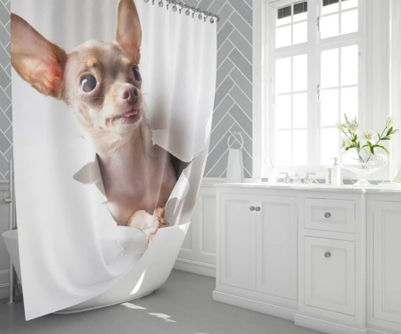 Chihuahua Tiny Grace Delightful Companion Shower Curtain 1