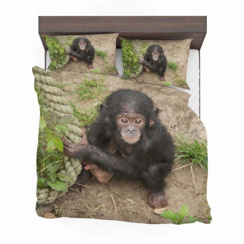 Chimpanzee Playful Antics Primate Joy Bedding Set 1