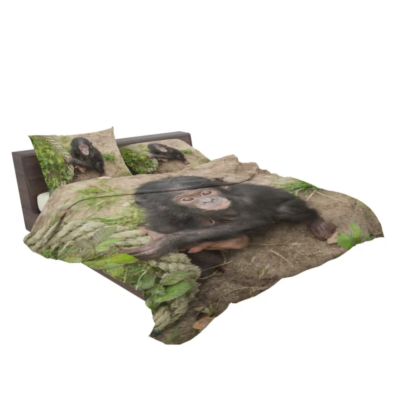 Chimpanzee Playful Antics Primate Joy Bedding Set 2