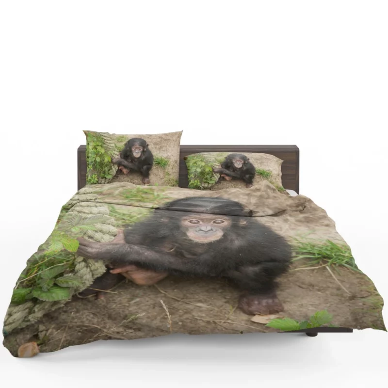 Chimpanzee Playful Antics Primate Joy Bedding Set