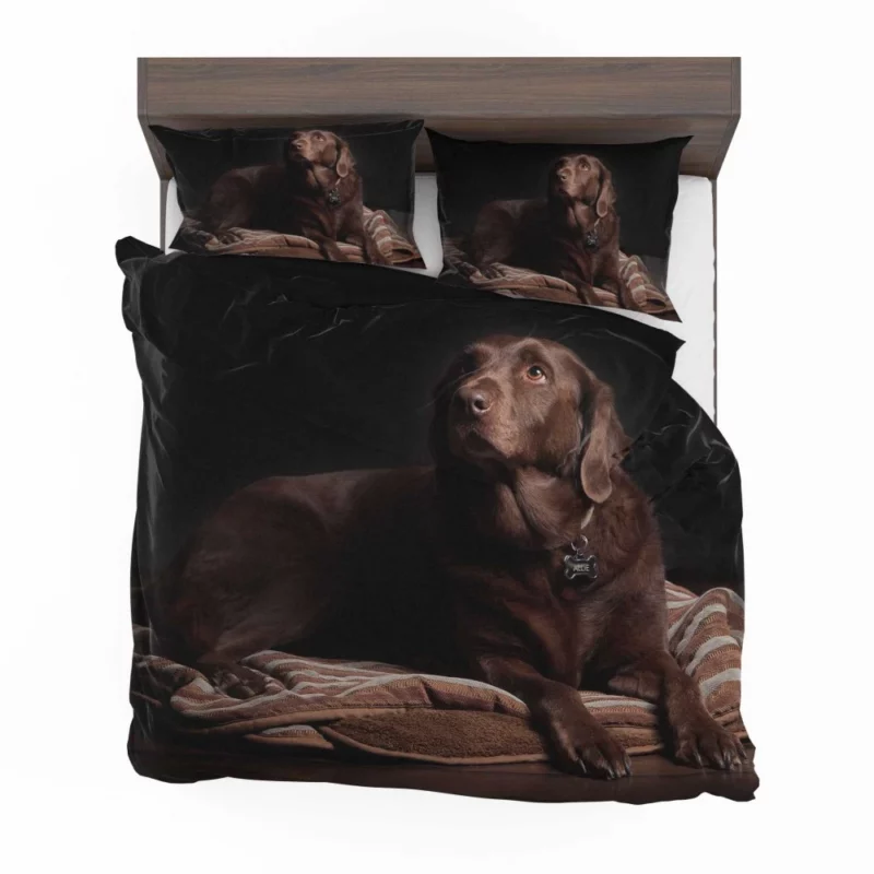 Chocolate Labrador Close-Up Charm Bedding Set 1