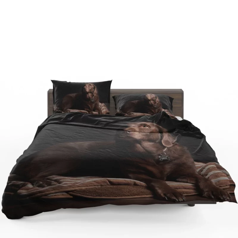 Chocolate Labrador Close-Up Charm Bedding Set