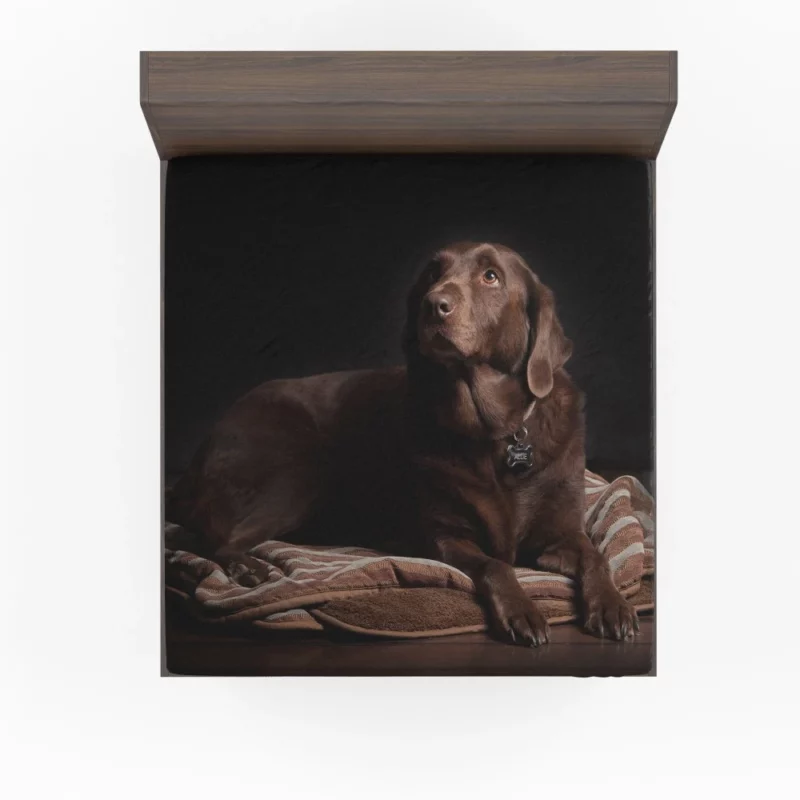 Chocolate Labrador Close-Up Charm Fitted Sheet 1