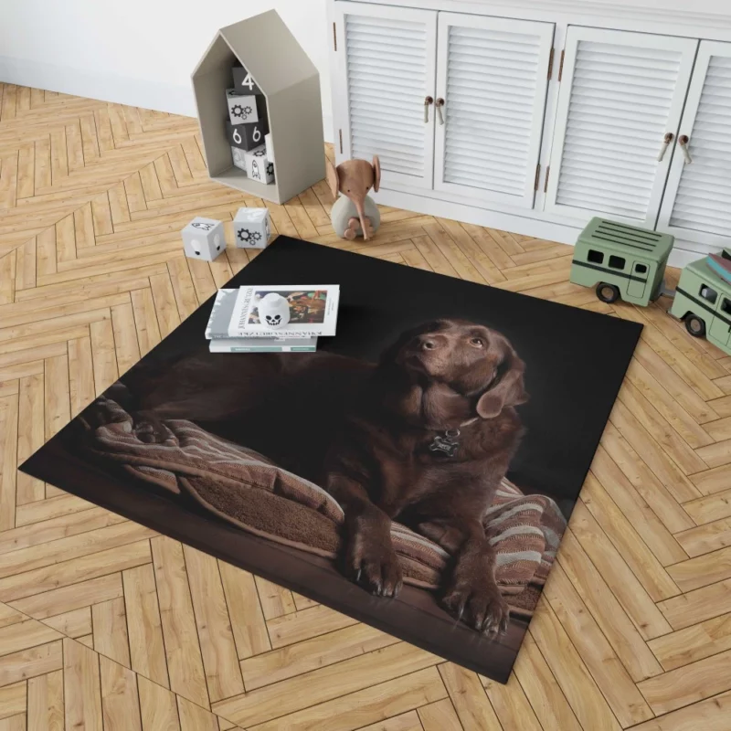 Chocolate Labrador Close-Up Charm Rug 1