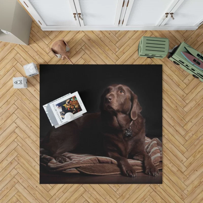 Chocolate Labrador Close-Up Charm Rug