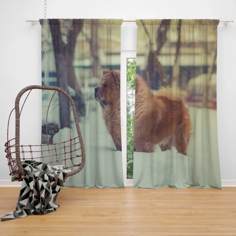 Chow Chow in Winter Wonderland Curtain