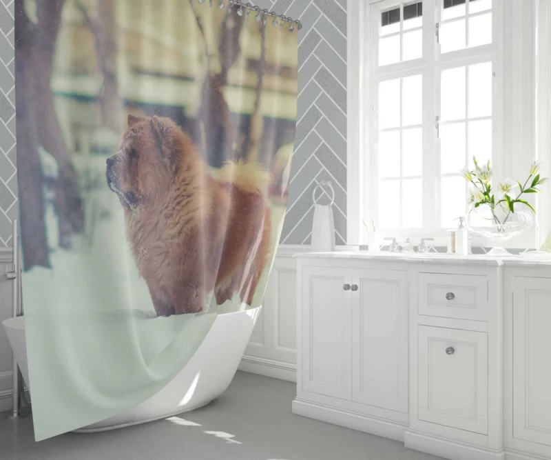 Chow Chow in Winter Wonderland Shower Curtain 1