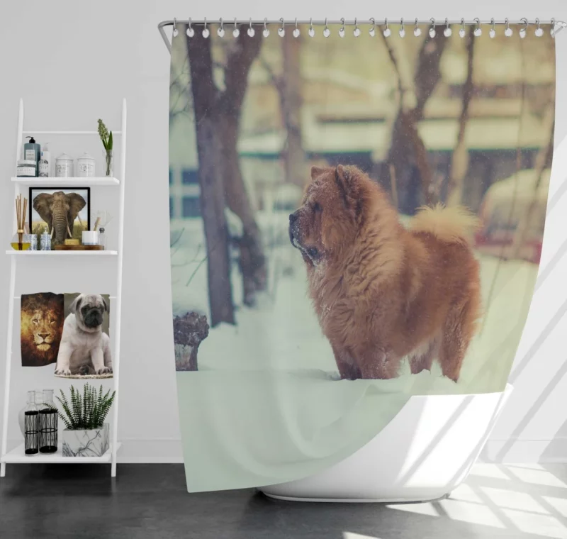 Chow Chow in Winter Wonderland Shower Curtain