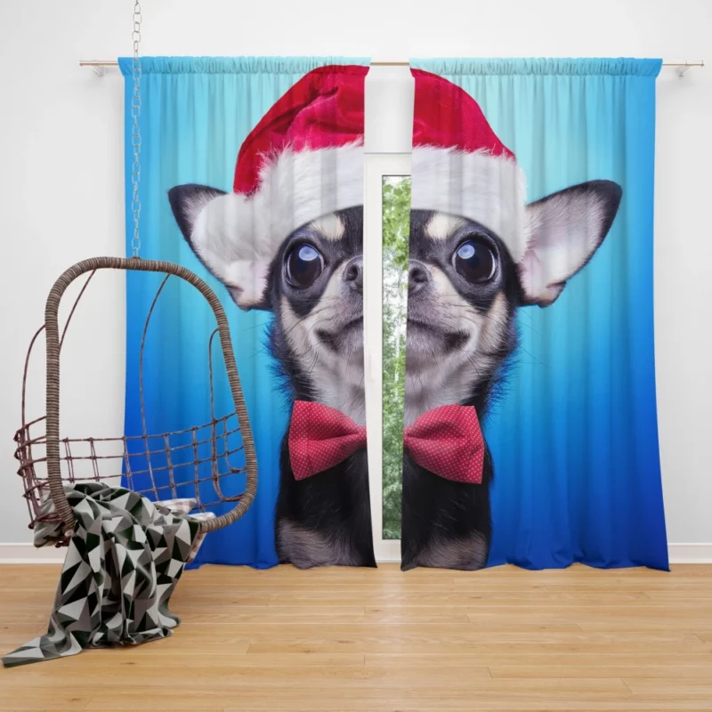 Christmas Chihuahua Santa Delight Curtain