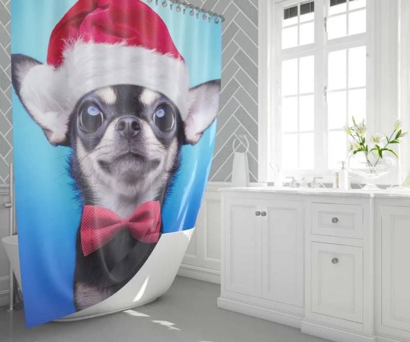 Christmas Chihuahua Santa Delight Shower Curtain 1