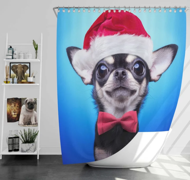 Christmas Chihuahua Santa Delight Shower Curtain