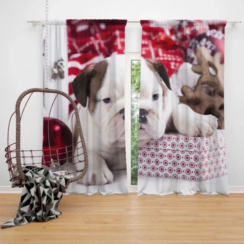 Christmas Ornaments & Puppy Delight Curtain