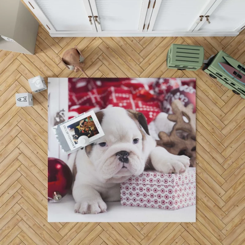 Christmas Ornaments & Puppy Delight Rug