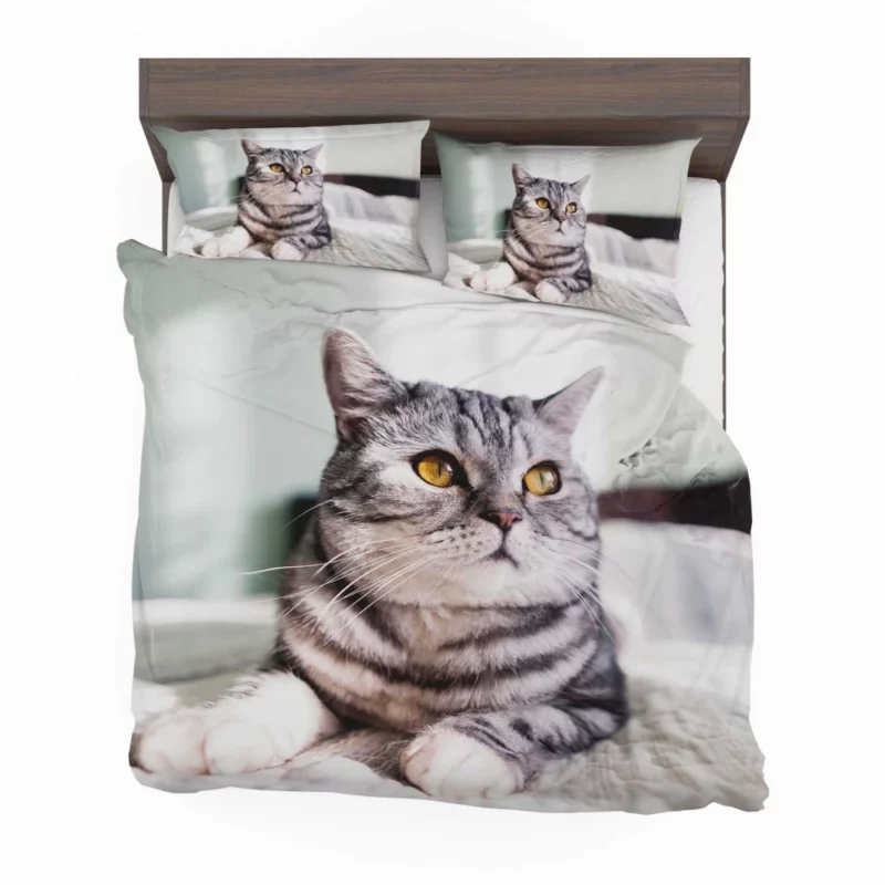 Close-Up Elegance Cat Enigmatic Stare Bedding Set 1