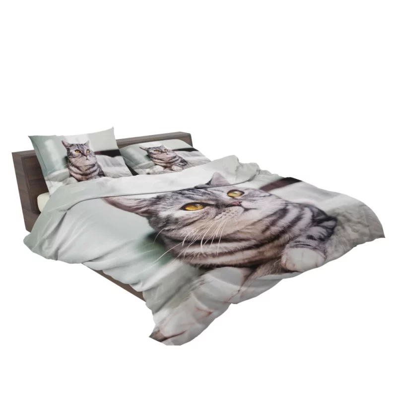 Close-Up Elegance Cat Enigmatic Stare Bedding Set 2