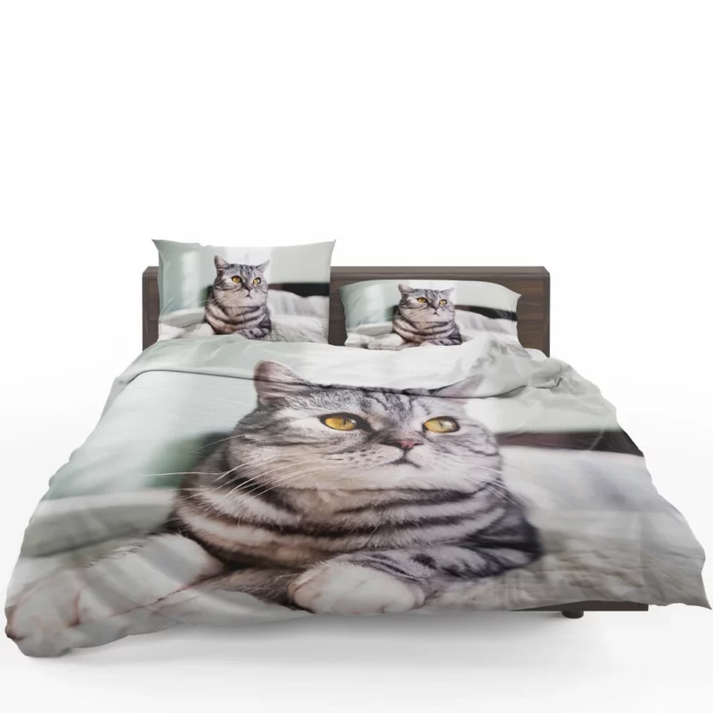 Close-Up Elegance Cat Enigmatic Stare Bedding Set