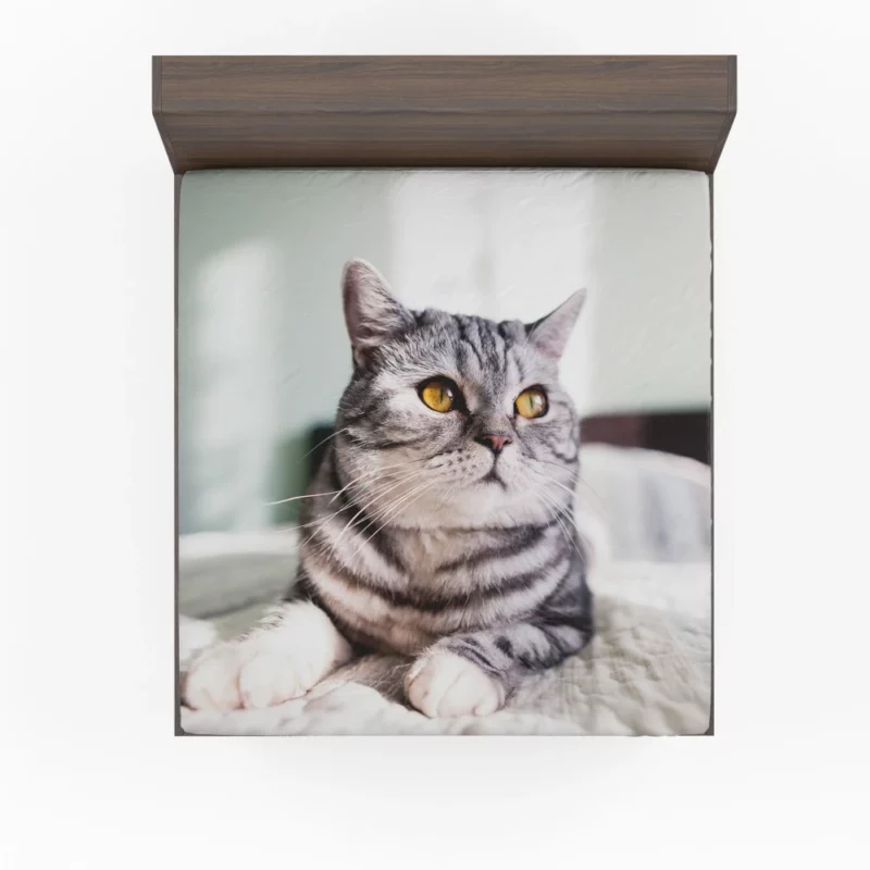 Close-Up Elegance Cat Enigmatic Stare Fitted Sheet 1