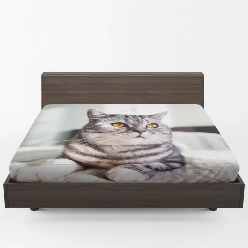 Close-Up Elegance Cat Enigmatic Stare Fitted Sheet